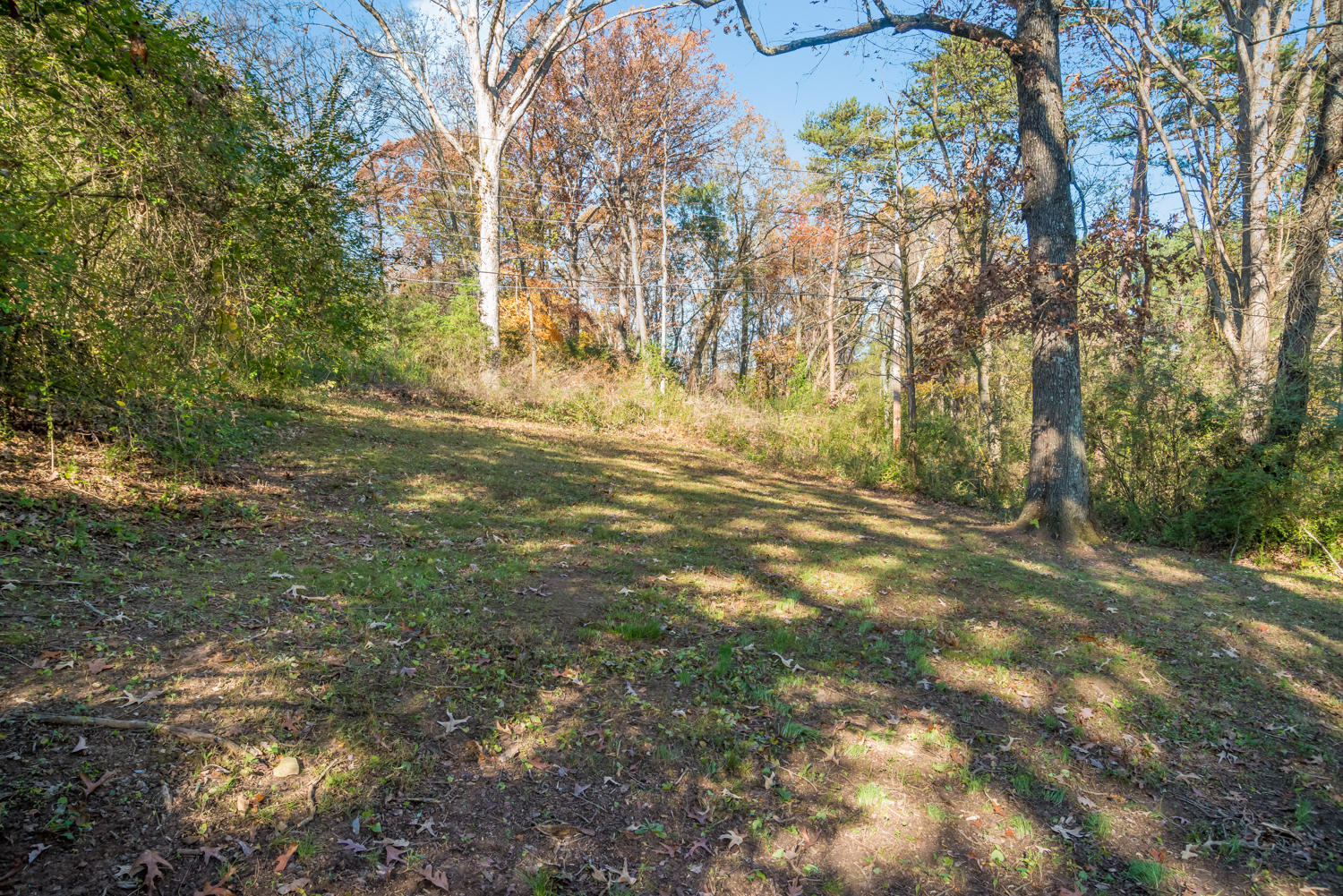 7803 Hancock Road Chattanooga, TN 37416 - Photo 9 of 26 Large backyard