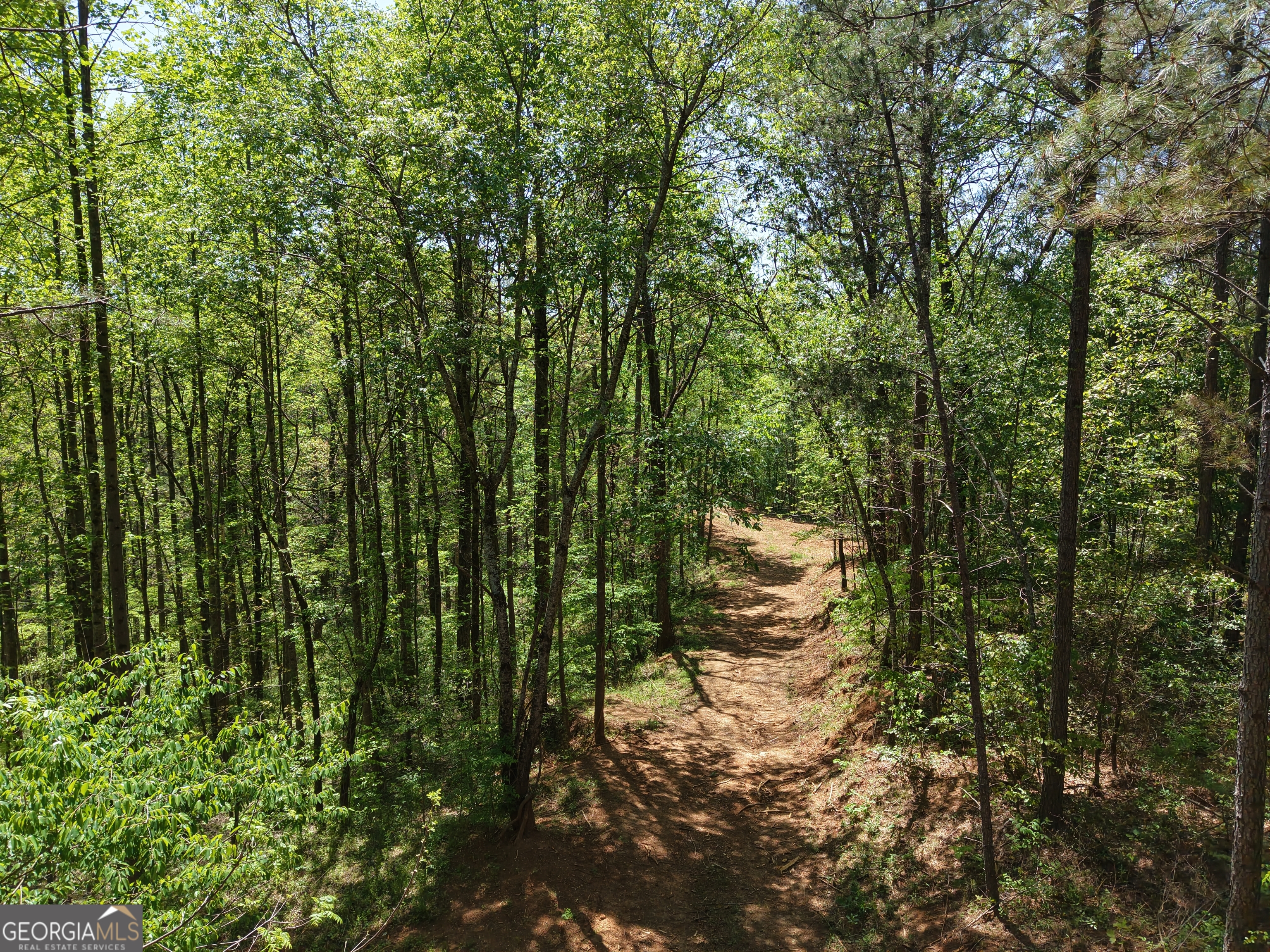 0 Ryo Mountain Road, Unit 9609 Fairmount, GA 30139 - Photo 73 of 87 Gallery Image 73