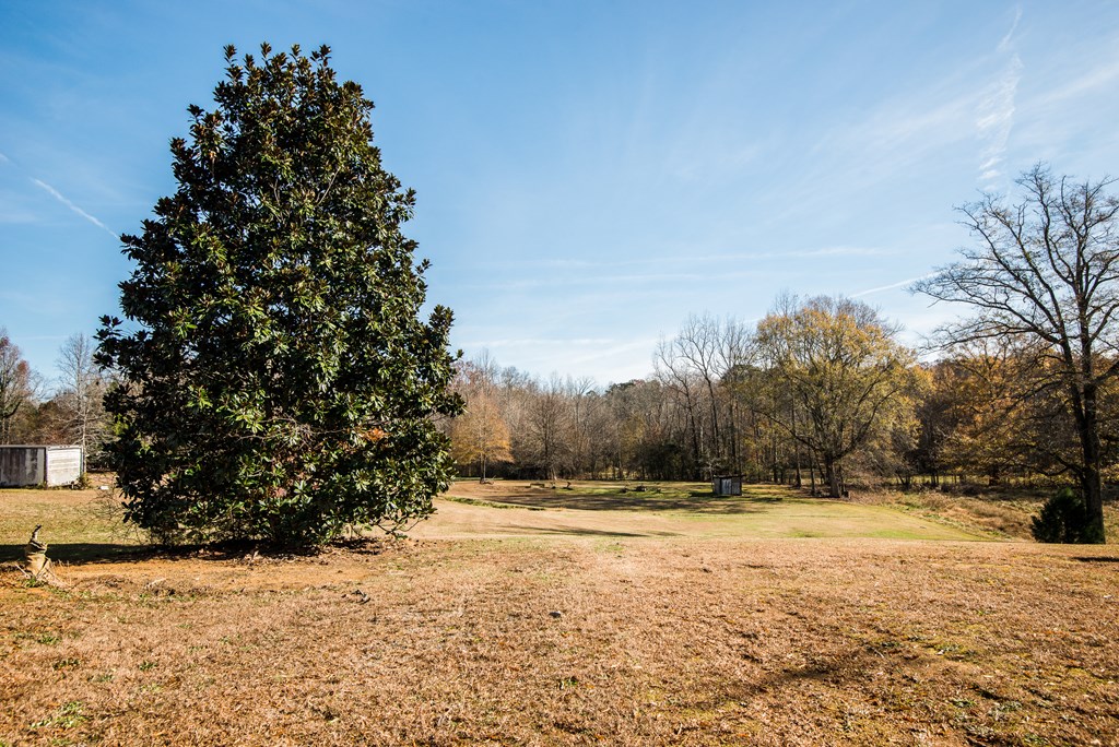 968 Kirby Young Road Dalton, GA 30721 - Photo 62 of 66 Gallery Image 62