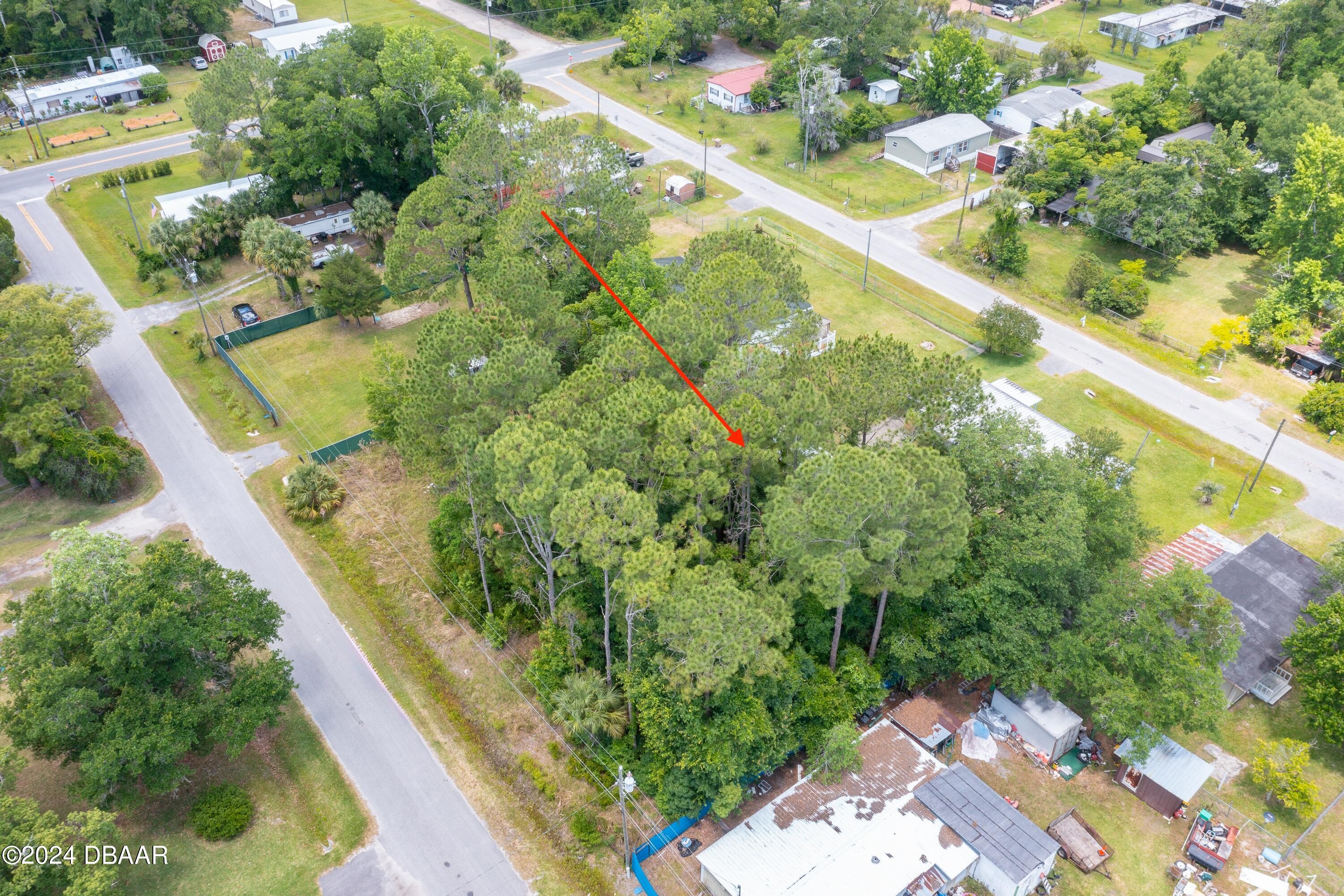 0 Armadillo Road Astor, FL 32102 - Photo 1 of 12 ArmadilloRd-Astor-2