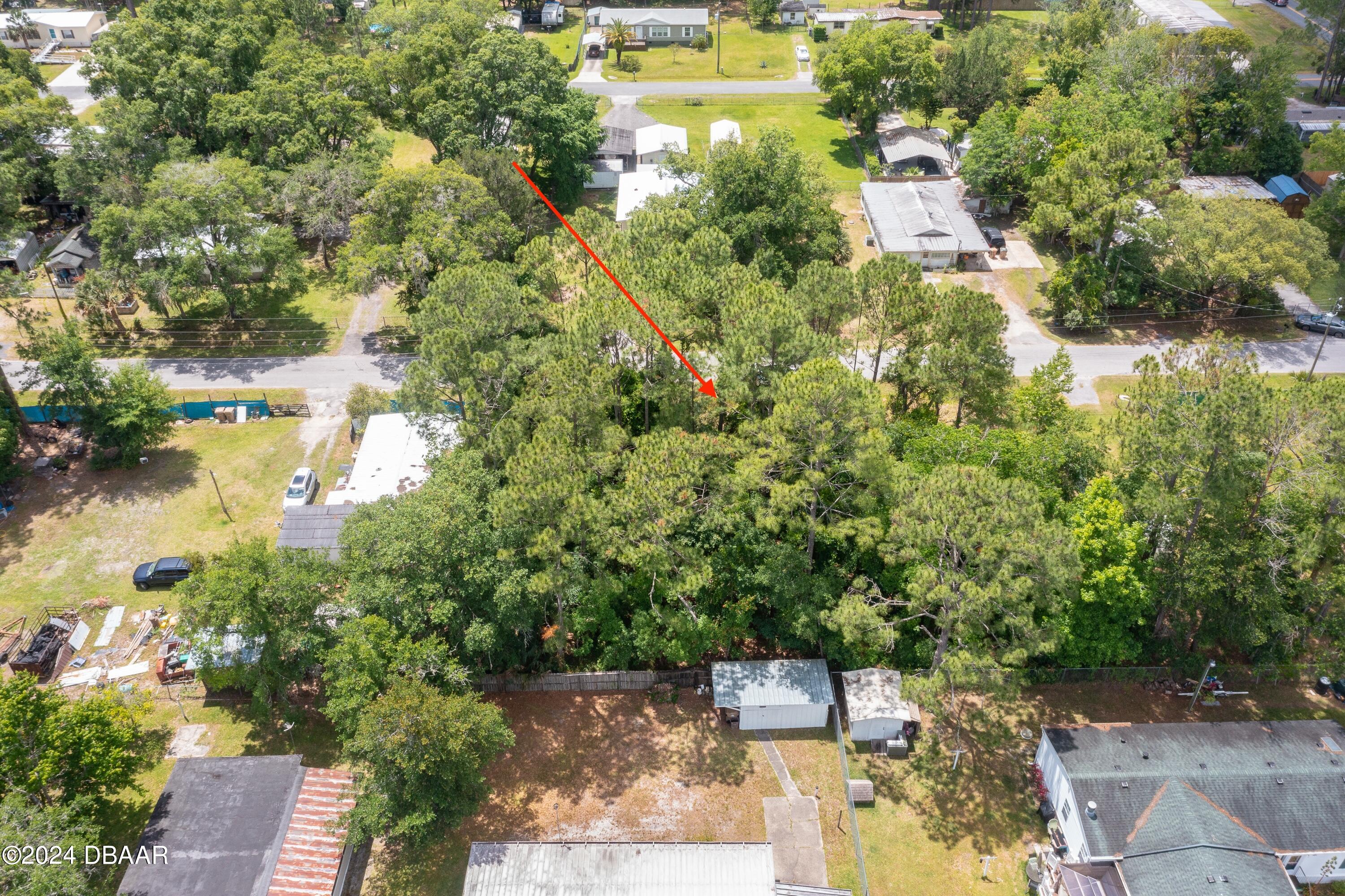 0 Armadillo Road Astor, FL 32102 - Photo 11 of 12 ArmadilloRd-Astor-5