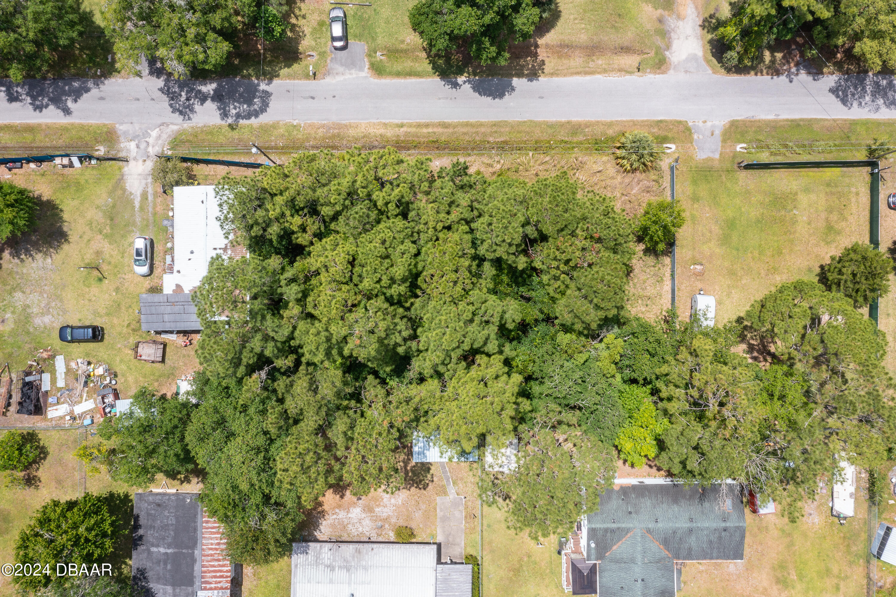 0 Armadillo Road Astor, FL 32102 - Photo 3 of 12 ArmadilloRd-Astor-7