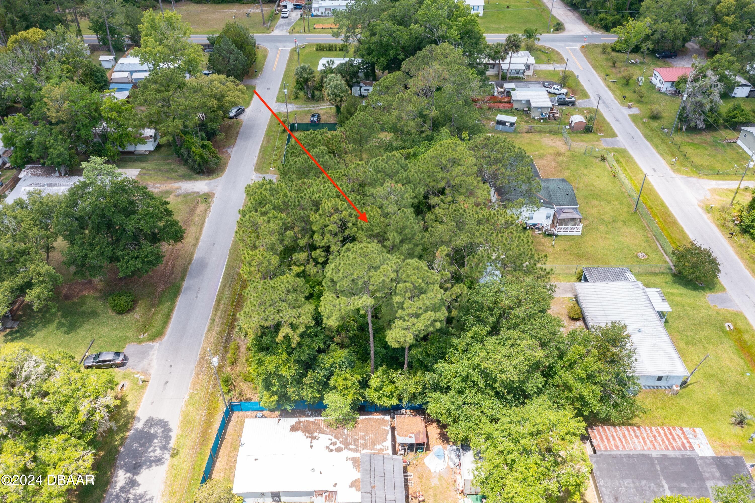 0 Armadillo Road Astor, FL 32102 - Photo 5 of 12 ArmadilloRd-Astor-3