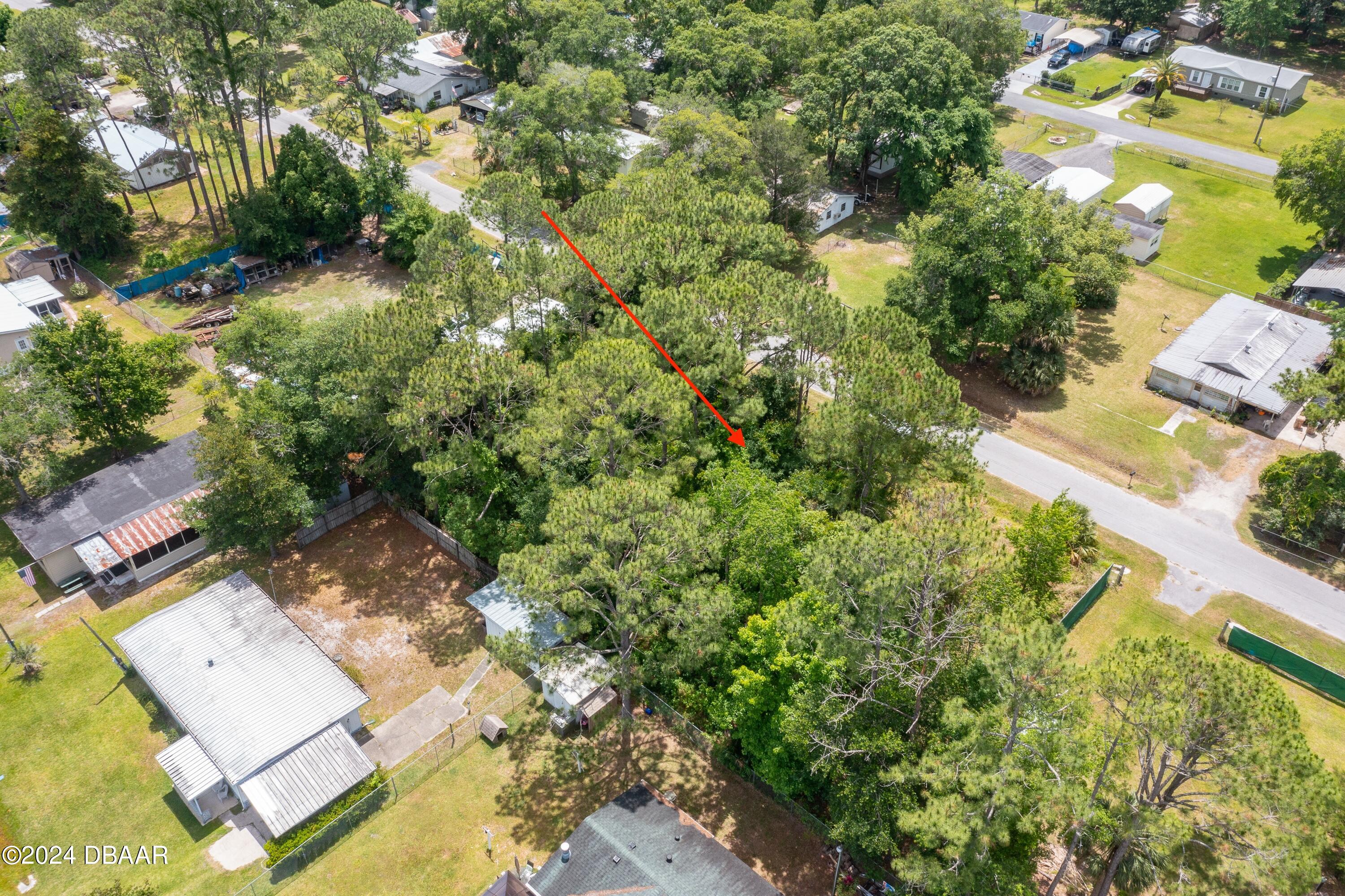0 Armadillo Road Astor, FL 32102 - Photo 6 of 12 ArmadilloRd-Astor-6