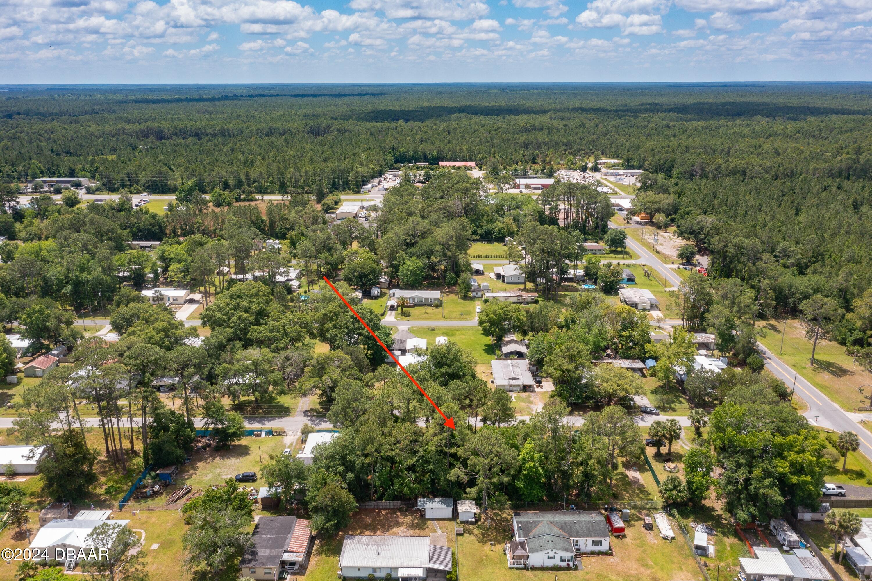 0 Armadillo Road Astor, FL 32102 - Photo 7 of 12 ArmadilloRd-Astor-8