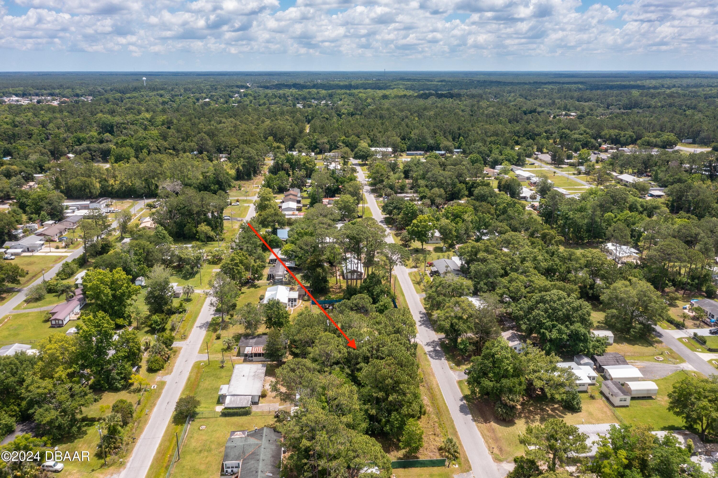 0 Armadillo Road Astor, FL 32102 - Photo 8 of 12 ArmadilloRd-Astor-10