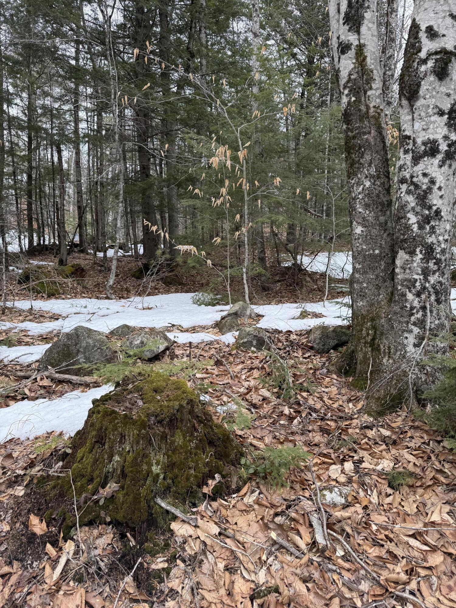 Tbd Kilby Edwards Road Otisfield, ME 04270 - Photo 4 of 4