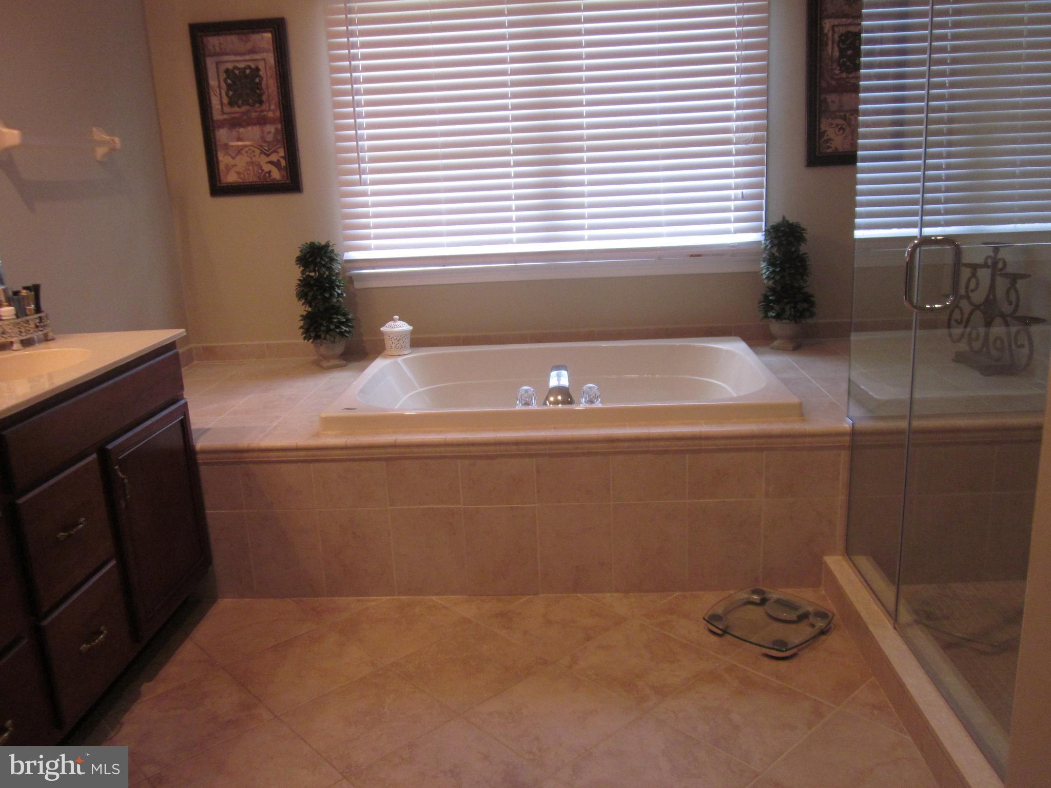 3752 Green Ridge Road Furlong, PA 18925 - Photo 14 of 24 Bathroom with shower and separate tub