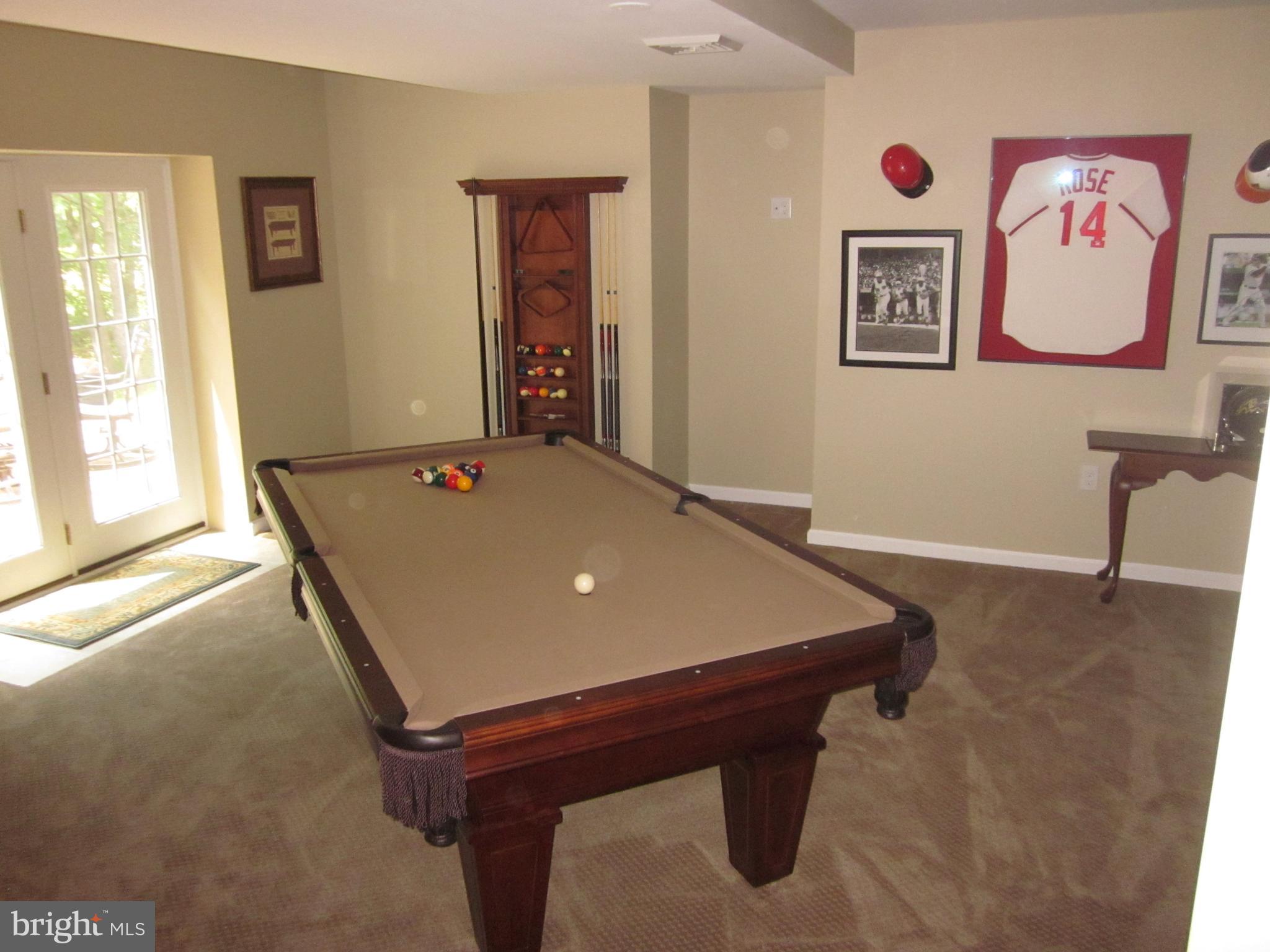 3752 Green Ridge Road Furlong, PA 18925 - Photo 19 of 24 Walk out basement
