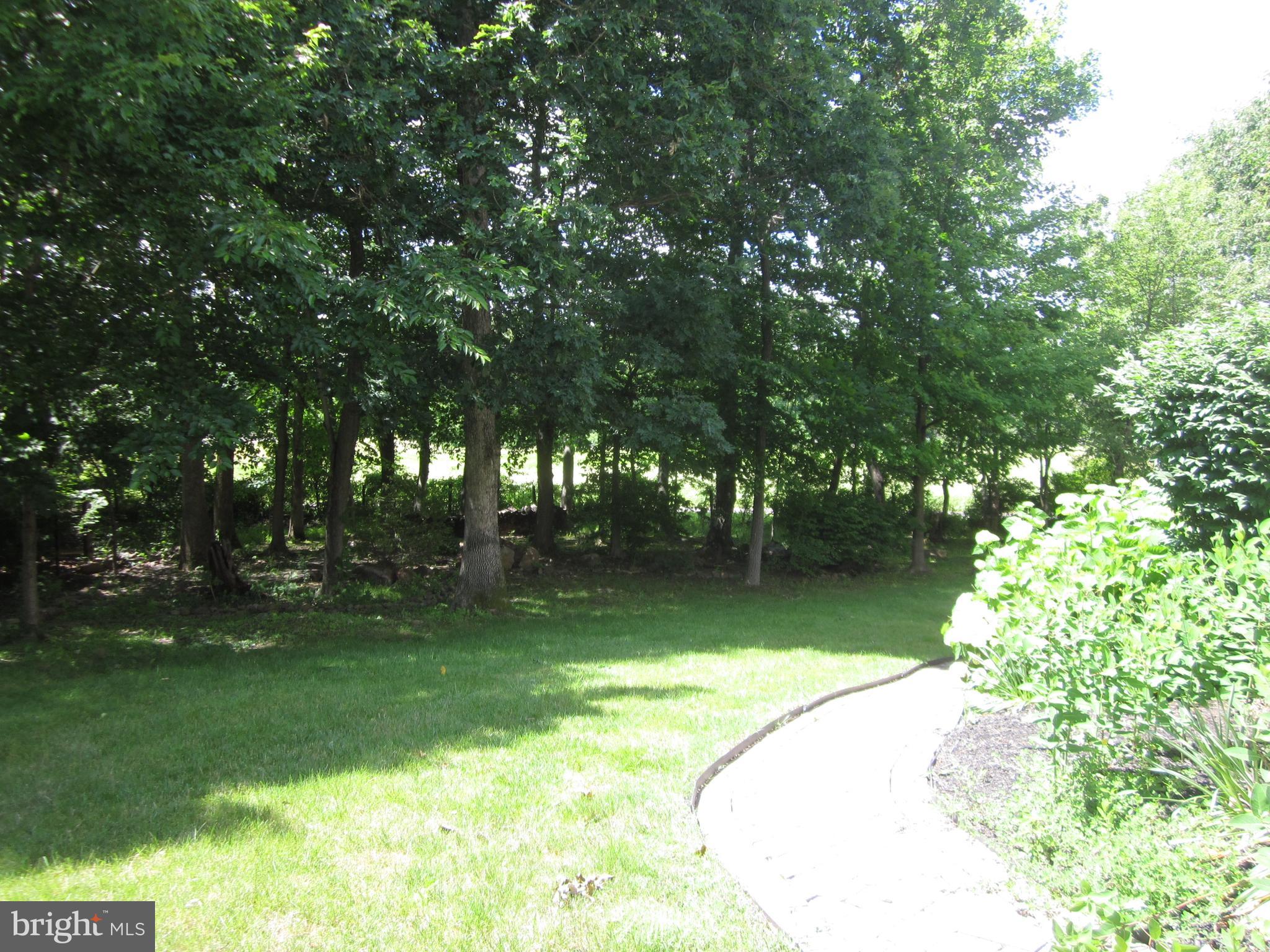 3752 Green Ridge Road Furlong, PA 18925 - Photo 23 of 24 rear yard