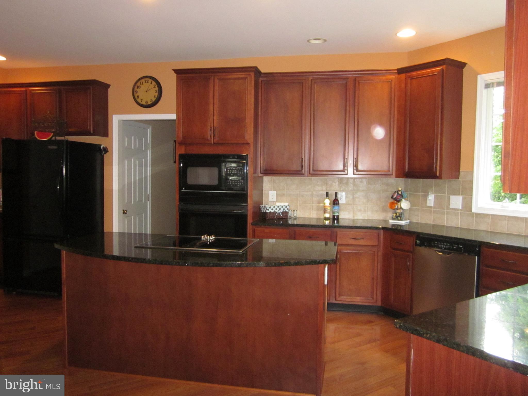 3752 Green Ridge Road Furlong, PA 18925 - Photo 10 of 24 Kitchen with pantry