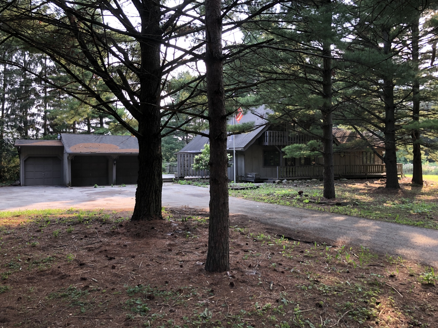 a view of a yard with trees