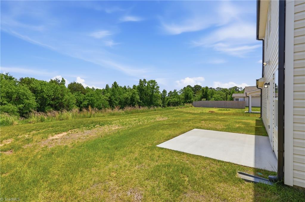 228 Waylon Court Lexington, NC 27295 - Photo 37 of 41