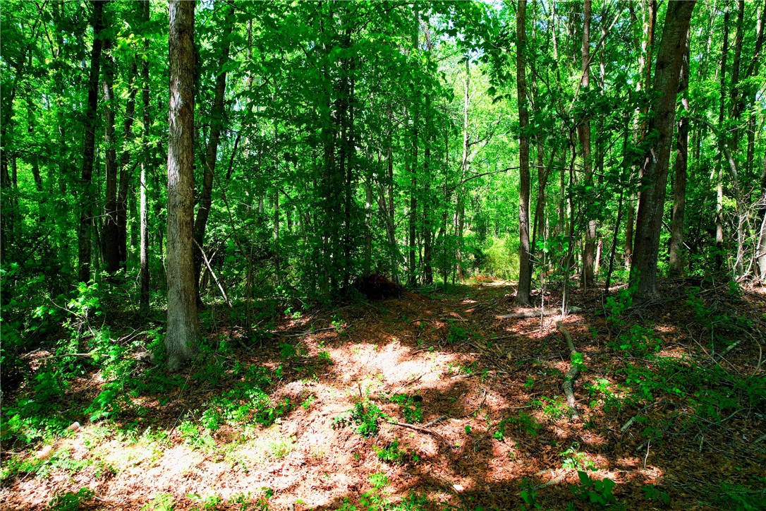 903 Cedar Rock Church Road Easley, SC 29640 - Photo 8 of 8 A tranquil wooded lot offers a verdant escape for your dream home.