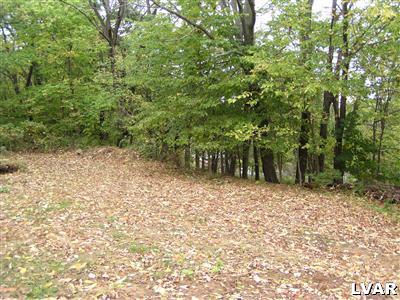 903 Browntown Road Nazareth, PA 18064 - Photo 12 of 13 Gallery Image 12