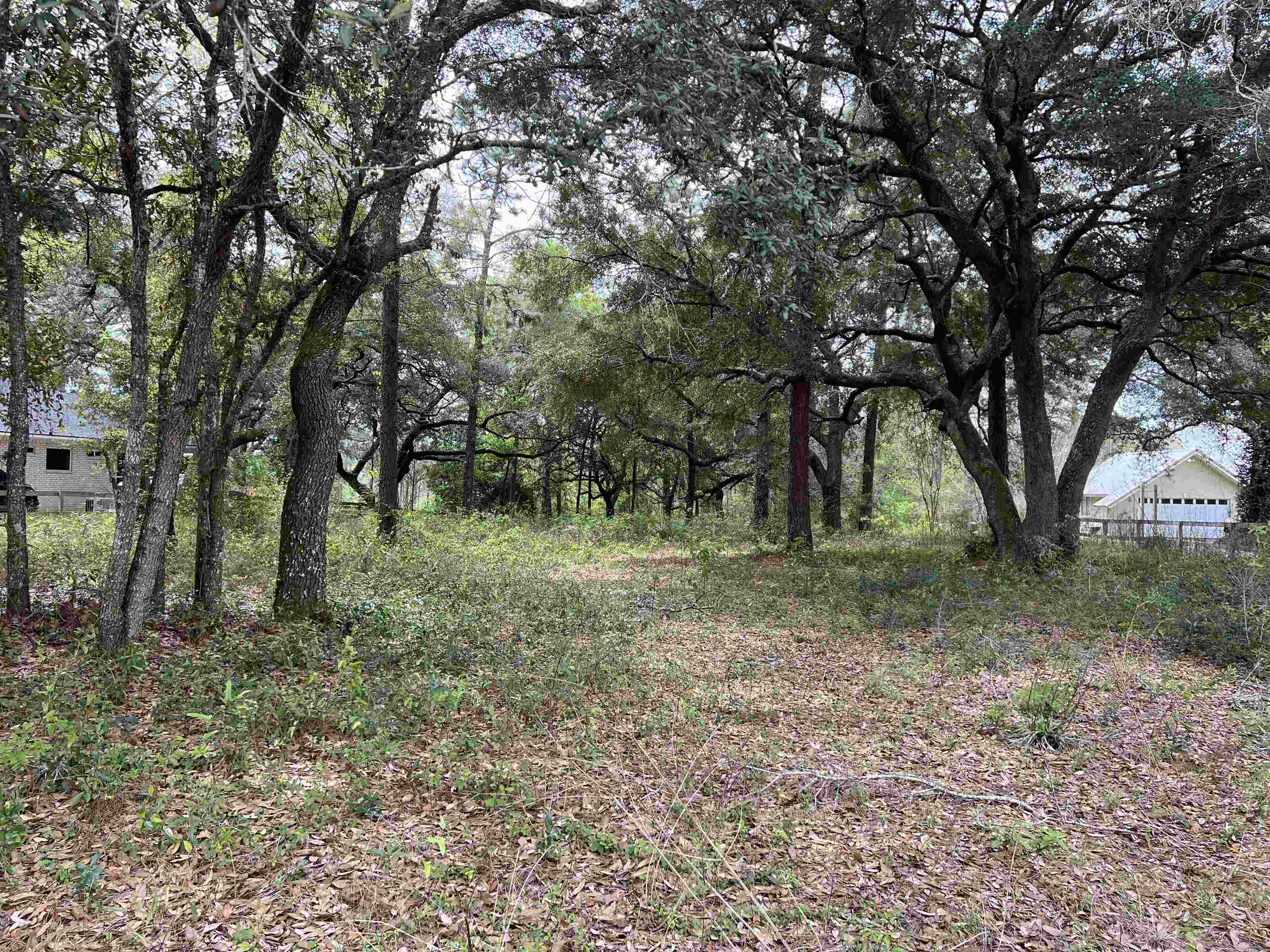 Lot #7 North Bayou Road Lillian, AL 36549 - Photo 3 of 7