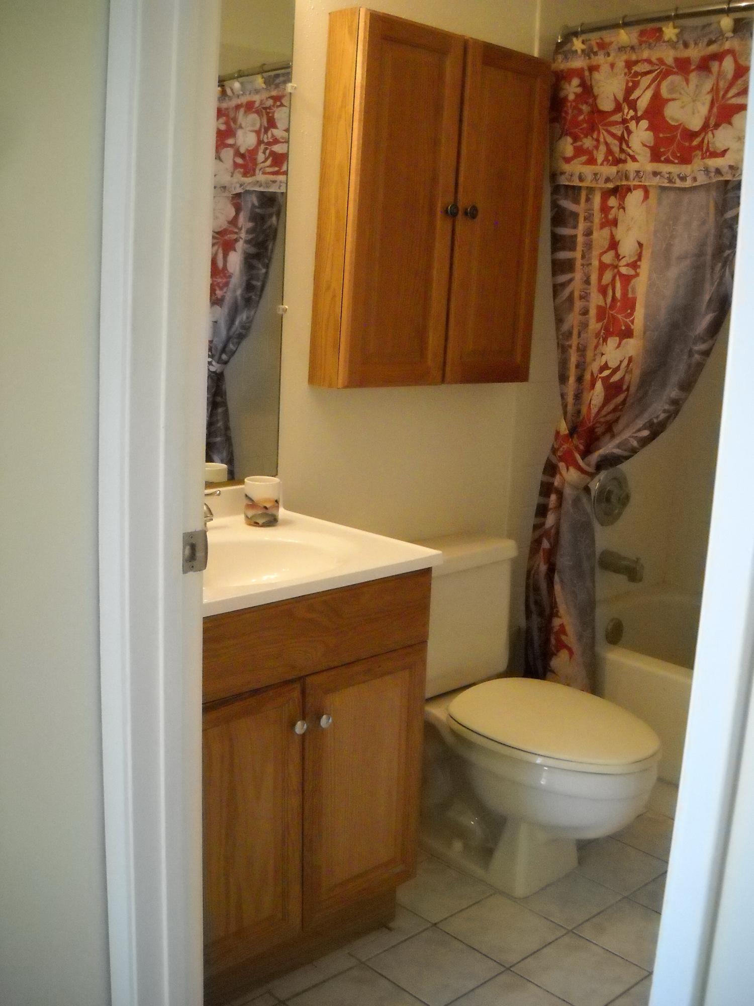18746 Shauna Manor Drive Boca Raton, FL 33496 - Photo 7 of 20 bathroom hallway 2