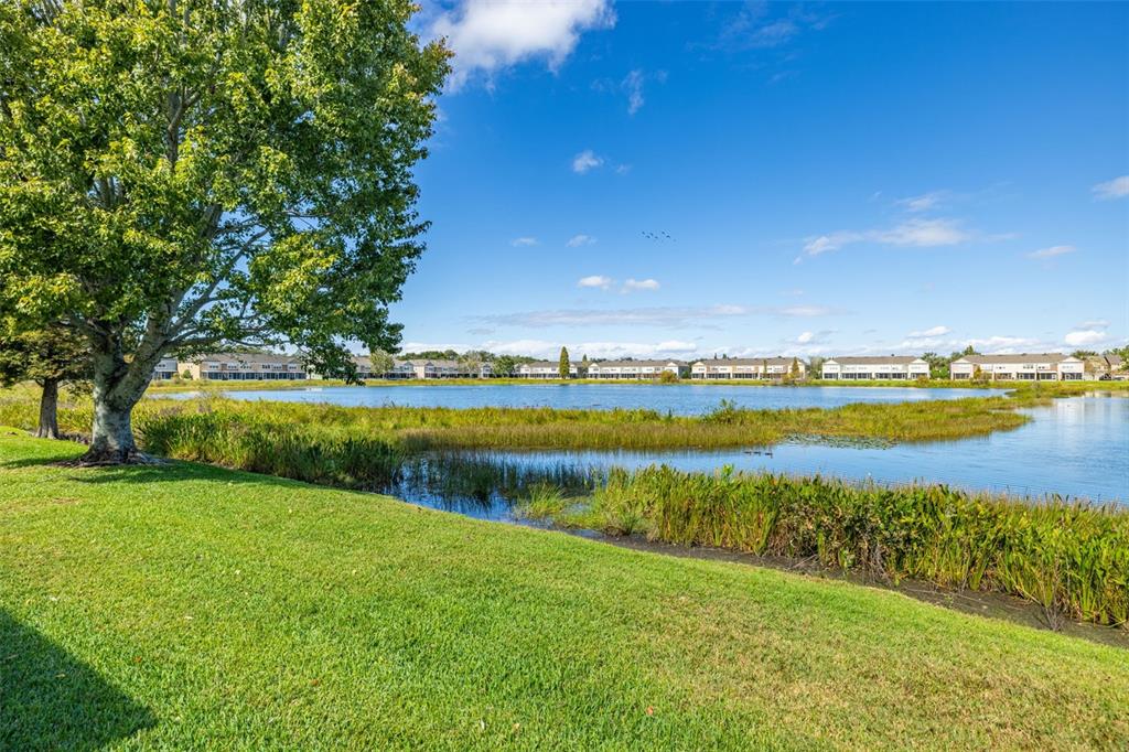 4921 Pond Ridge Drive Riverview, FL 33578 - Photo 29 of 40 a view of a lake with houses in the back