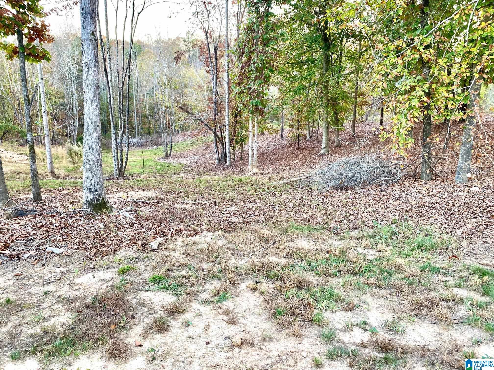 325 County Road 13 Heflin, AL 36264 - Photo 25 of 56