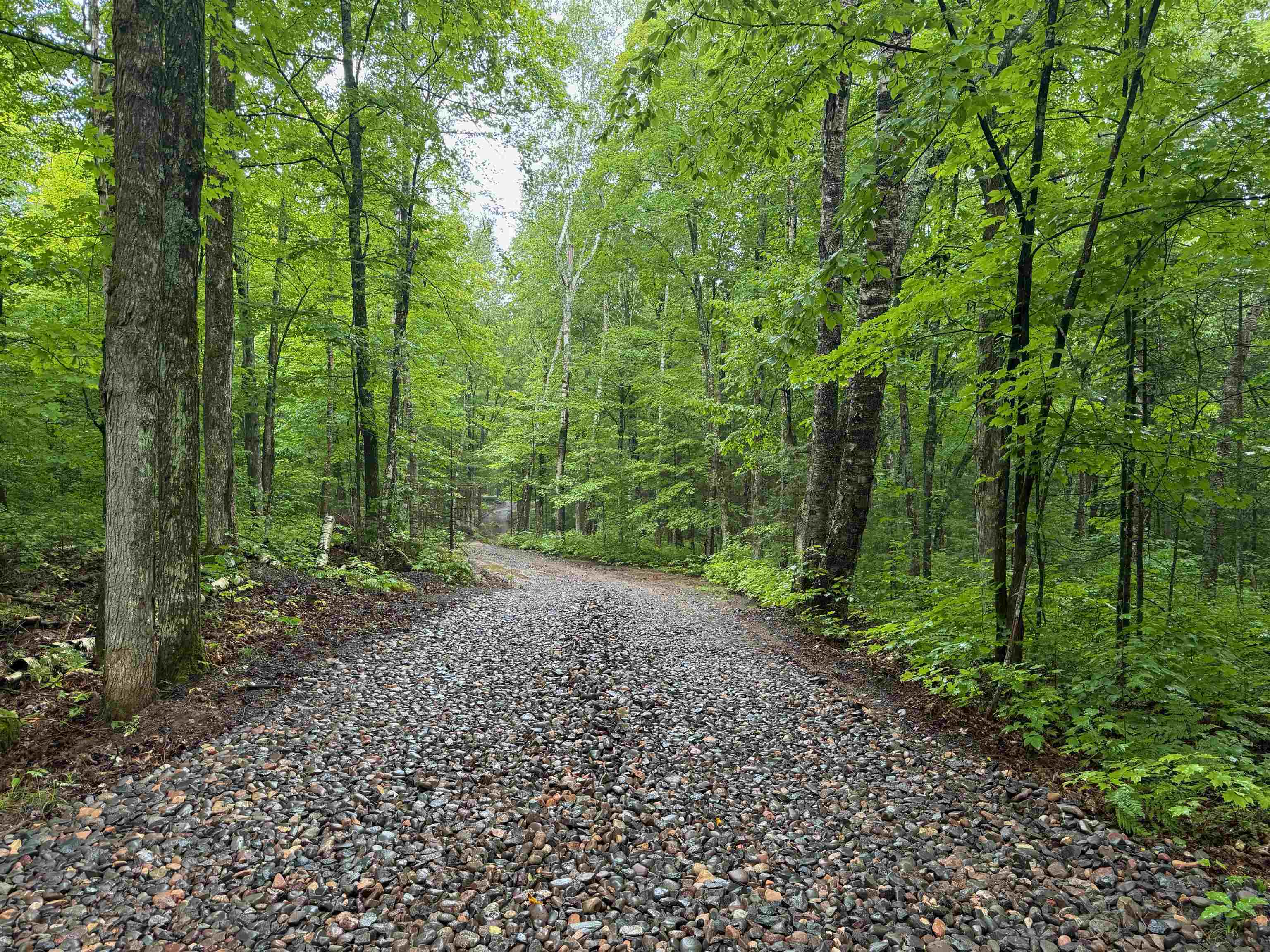 Lot 3 North Scheers Road Hayward, WI 54843 - Photo 14 of 48 View of street featuring a forest view
