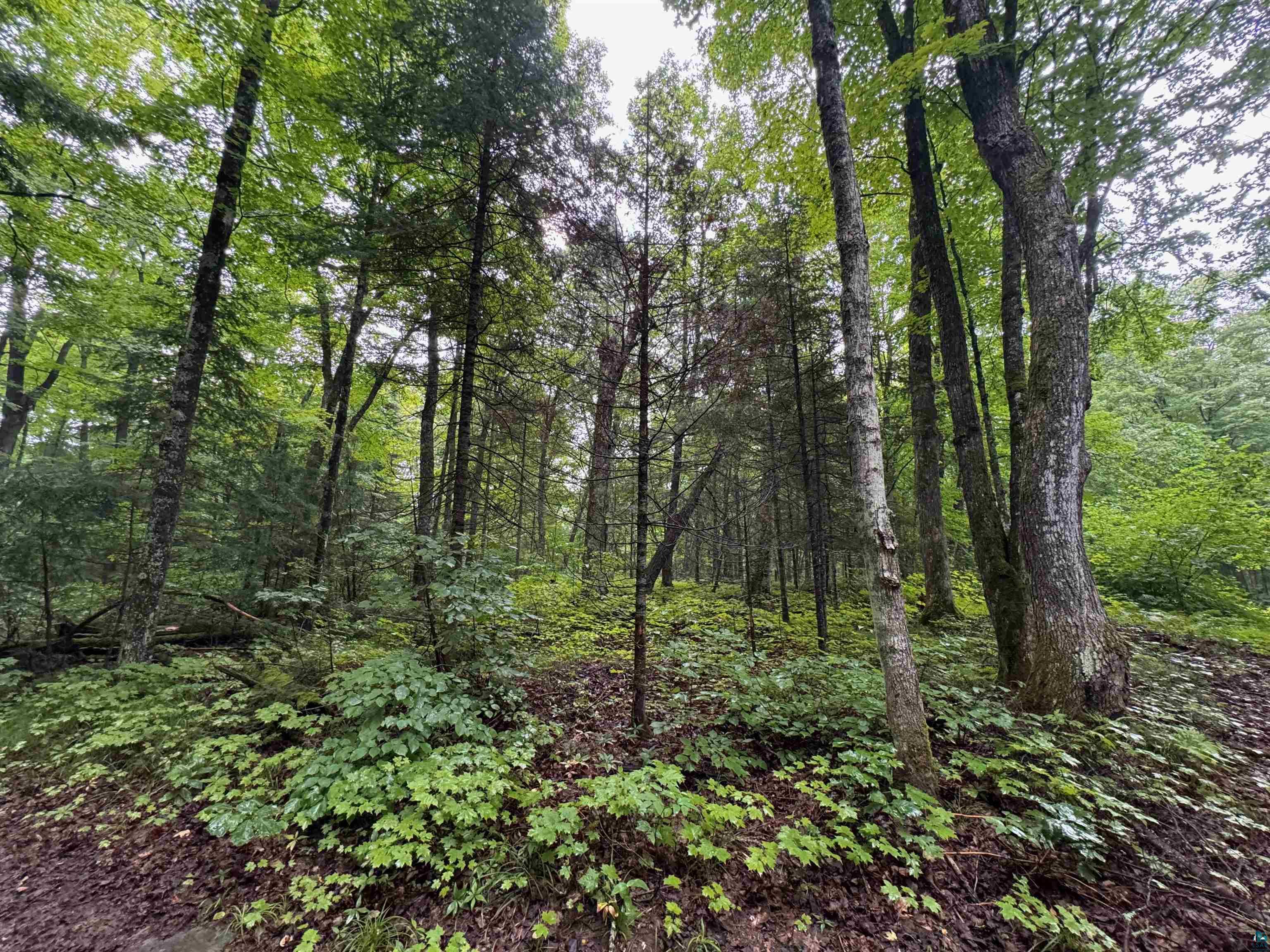 Lot 3 North Scheers Road Hayward, WI 54843 - Photo 32 of 48 View of landscape featuring a wooded view
