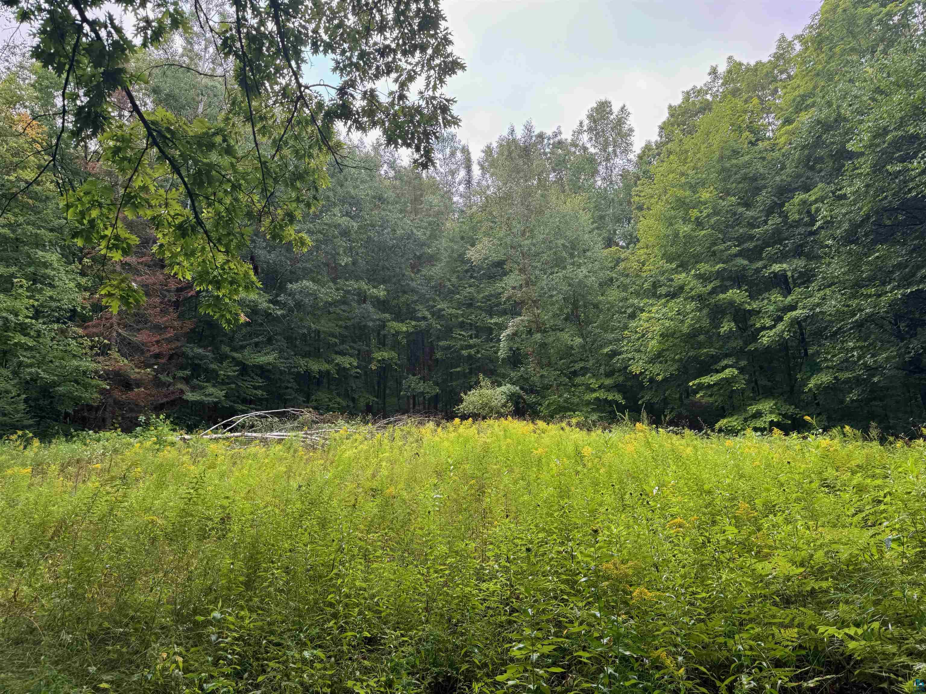 Lot 3 North Scheers Road Hayward, WI 54843 - Photo 36 of 48 View of nature with a wooded view