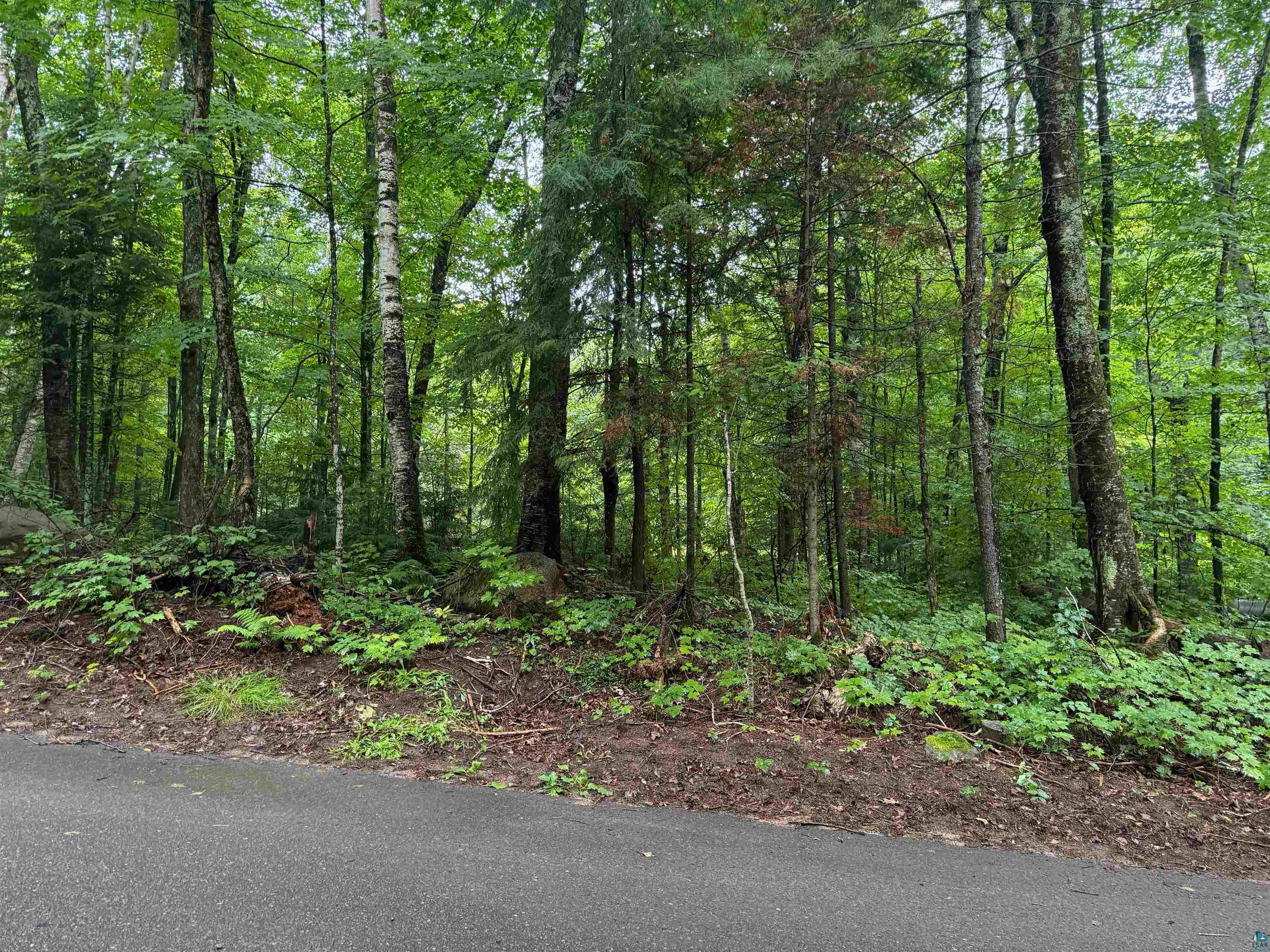 Lot 3 North Scheers Road Hayward, WI 54843 - Photo 8 of 48 View of nature with a wooded view