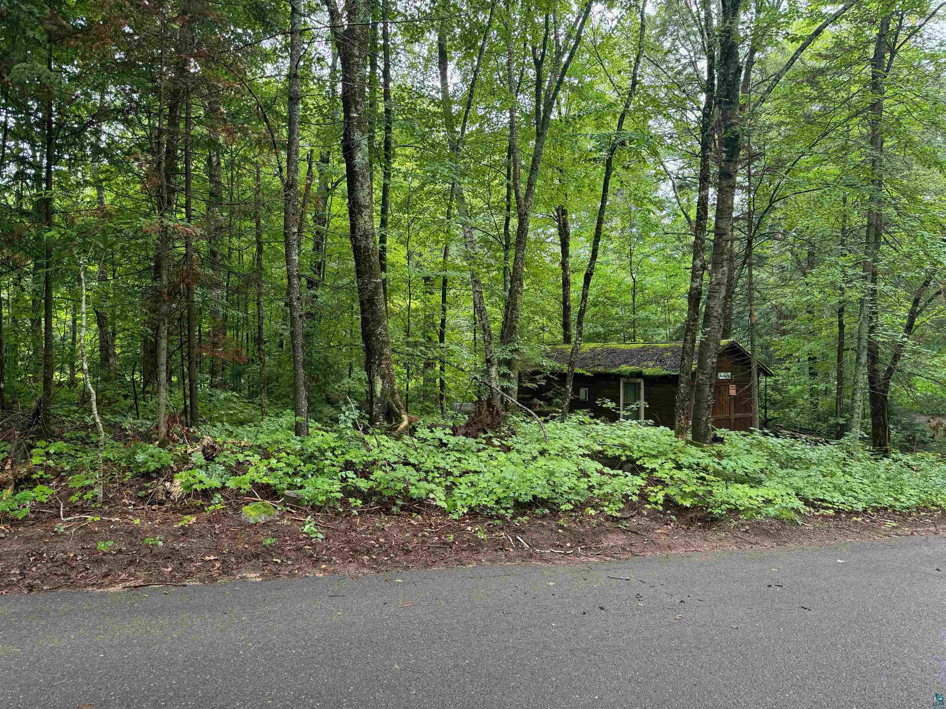 Lot 3 North Scheers Road Hayward, WI 54843 - Photo 9 of 48 View of local wilderness featuring a forest view