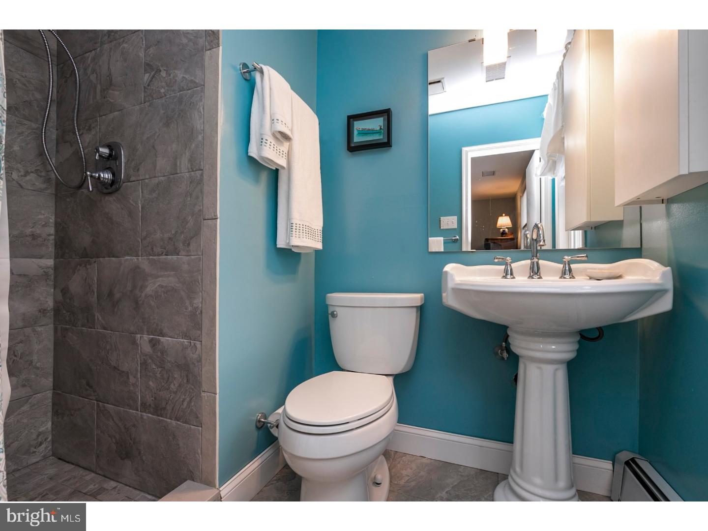 203 Morris Road Exton, PA 19341 - Photo 16 of 25 Master Bathroom