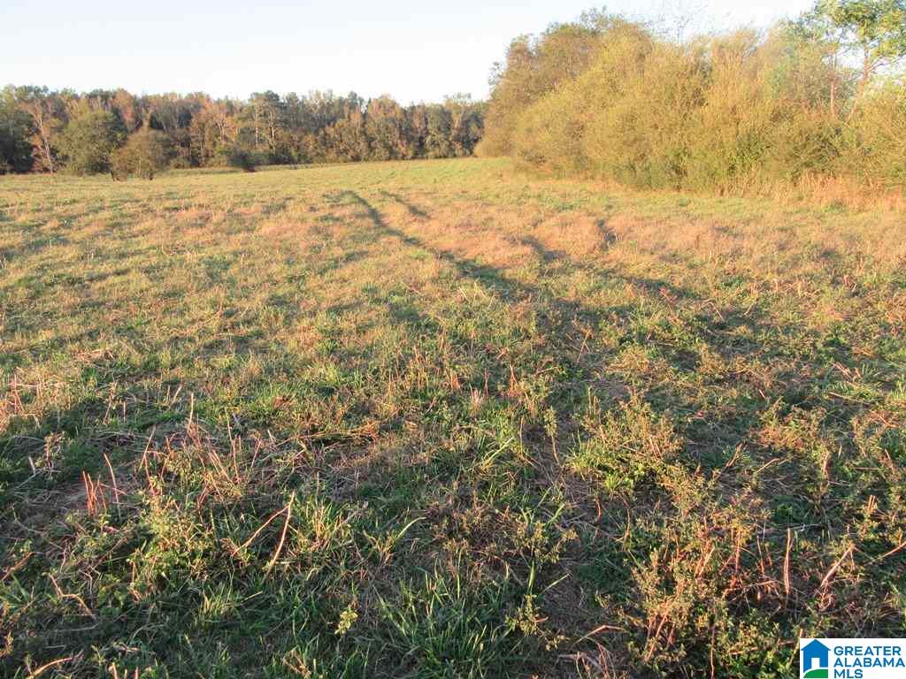 0 Eastaboga Road, Unit 1 Talladega, AL 35160 - Photo 19 of 30