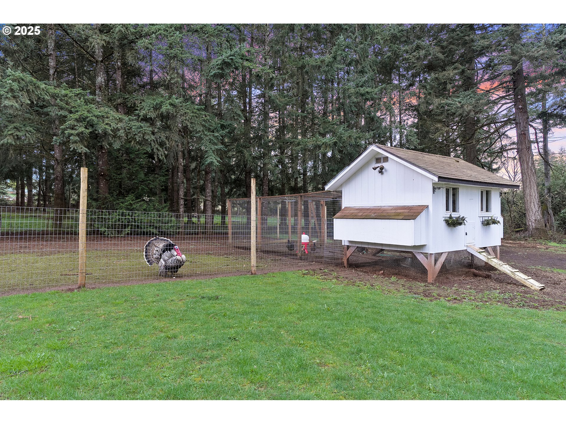 14018 South Spangler Road Oregon City, OR 97045 - Photo 28 of 34 a view of a house with backyard and porch