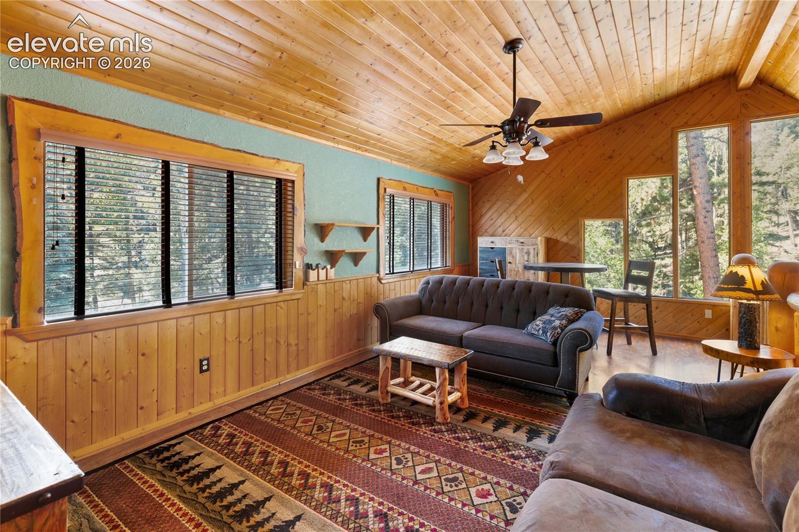 734 Kutsu Ridge Road Florissant, CO 80816 - Photo 18 of 41