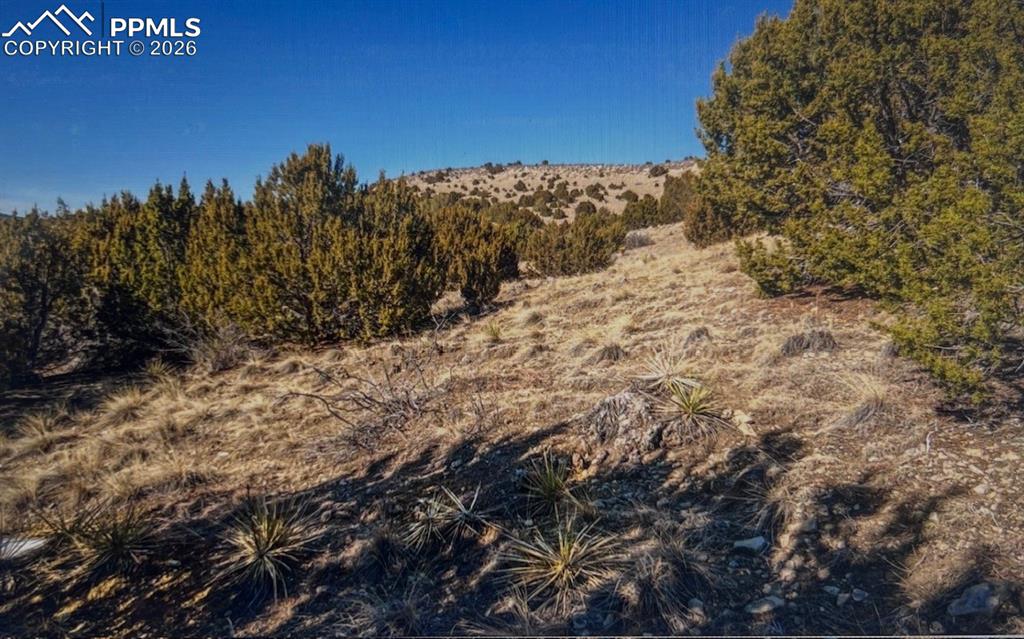 Lot 73 Cedar Grove Road Beulah, CO 81023 - Photo 16 of 17