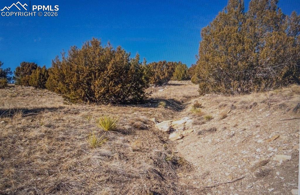 Lot 73 Cedar Grove Road Beulah, CO 81023 - Photo 17 of 17