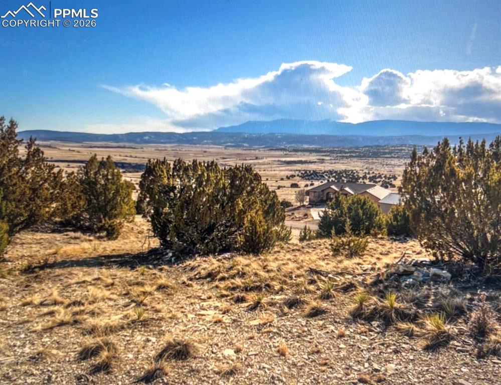 Lot 73 Cedar Grove Road Beulah, CO 81023 - Photo 4 of 17