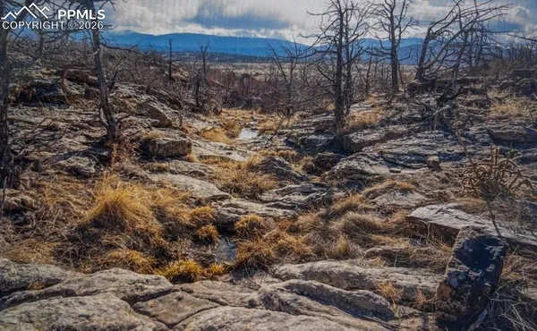 $35,000 | Lot 73 Cedar Grove Road, Beulah, CO 81023