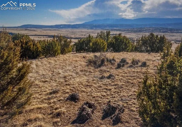 $35,000 | Lot 73 Cedar Grove Road, Beulah, CO 81023
