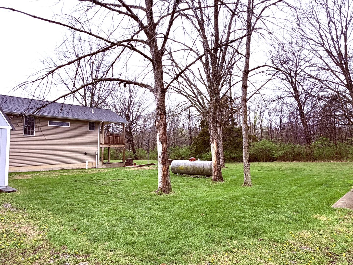 658 Deerfield Road Walnut Hill, IL 62893 - Photo 20 of 22