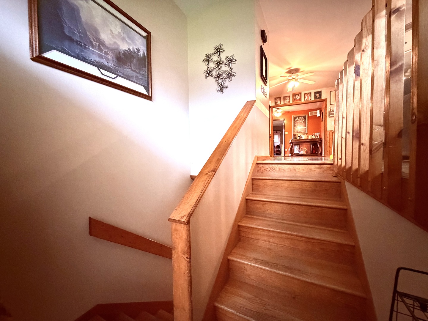 658 Deerfield Road Walnut Hill, IL 62893 - Photo 9 of 22