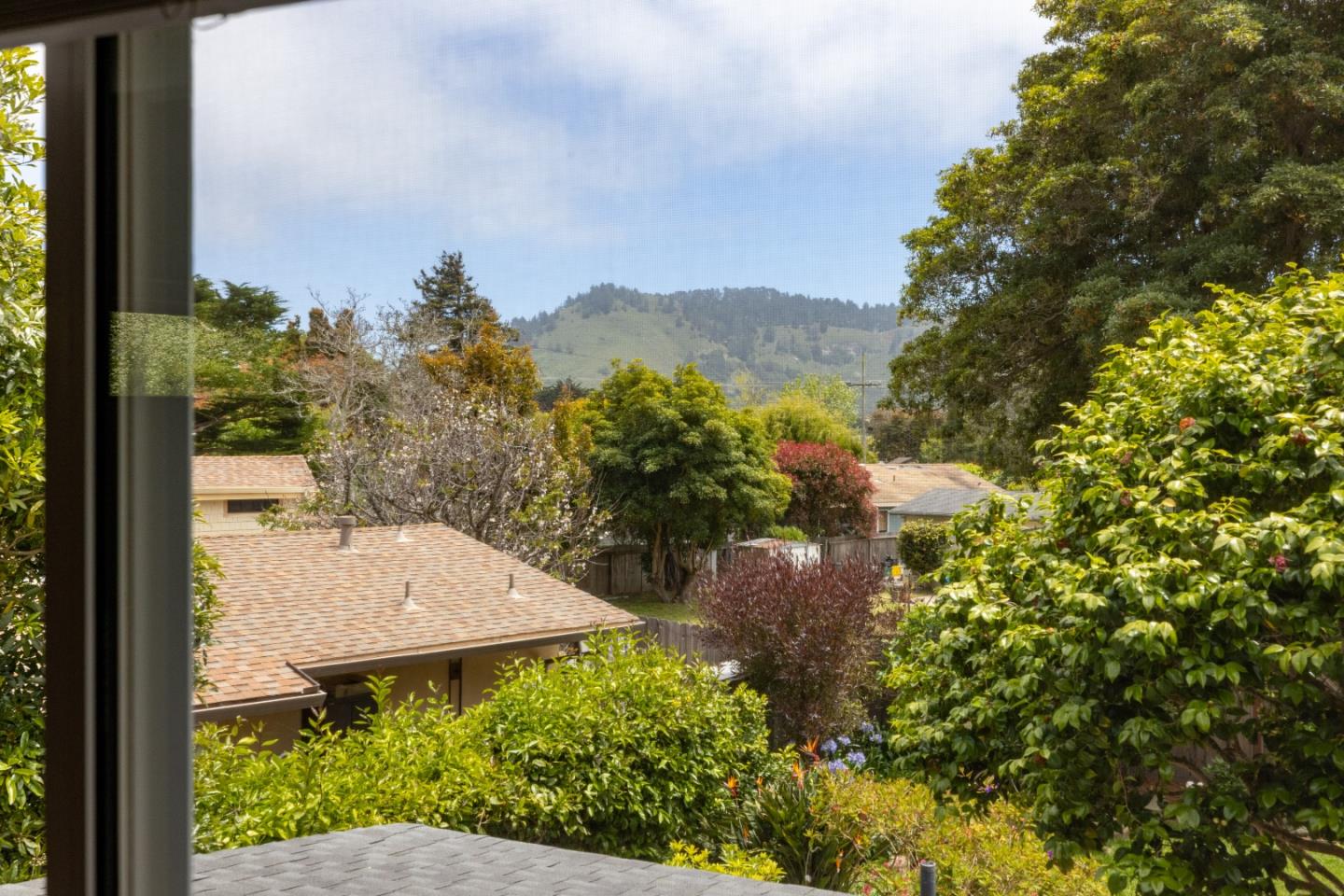 3532 Oliver Road Carmel, CA 93923 - Photo 21 of 47 a view of a backyard