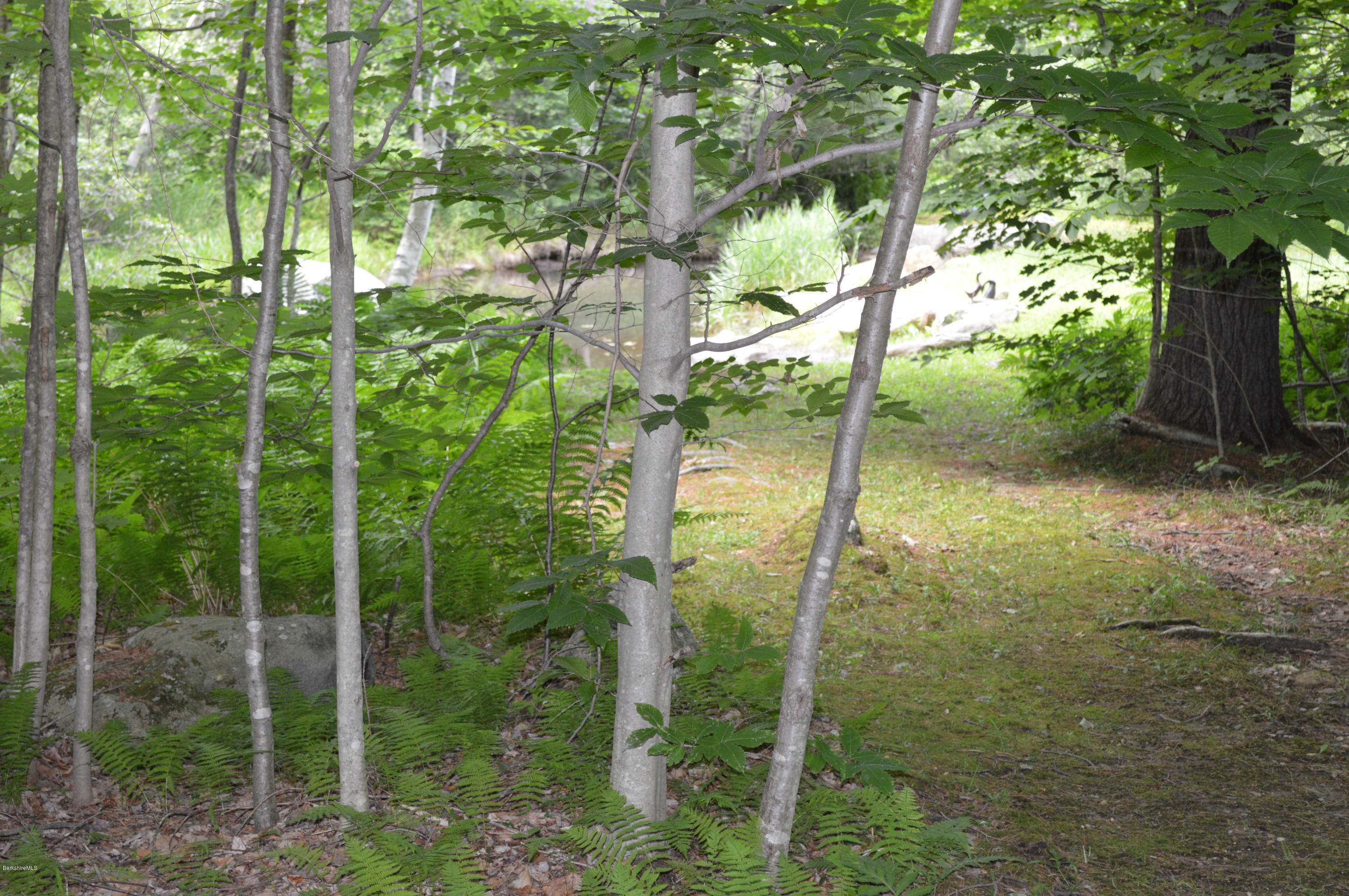 325 Bonny Rigg Hill Road Becket, MA 01223 - Photo 38 of 47 a view of a garden