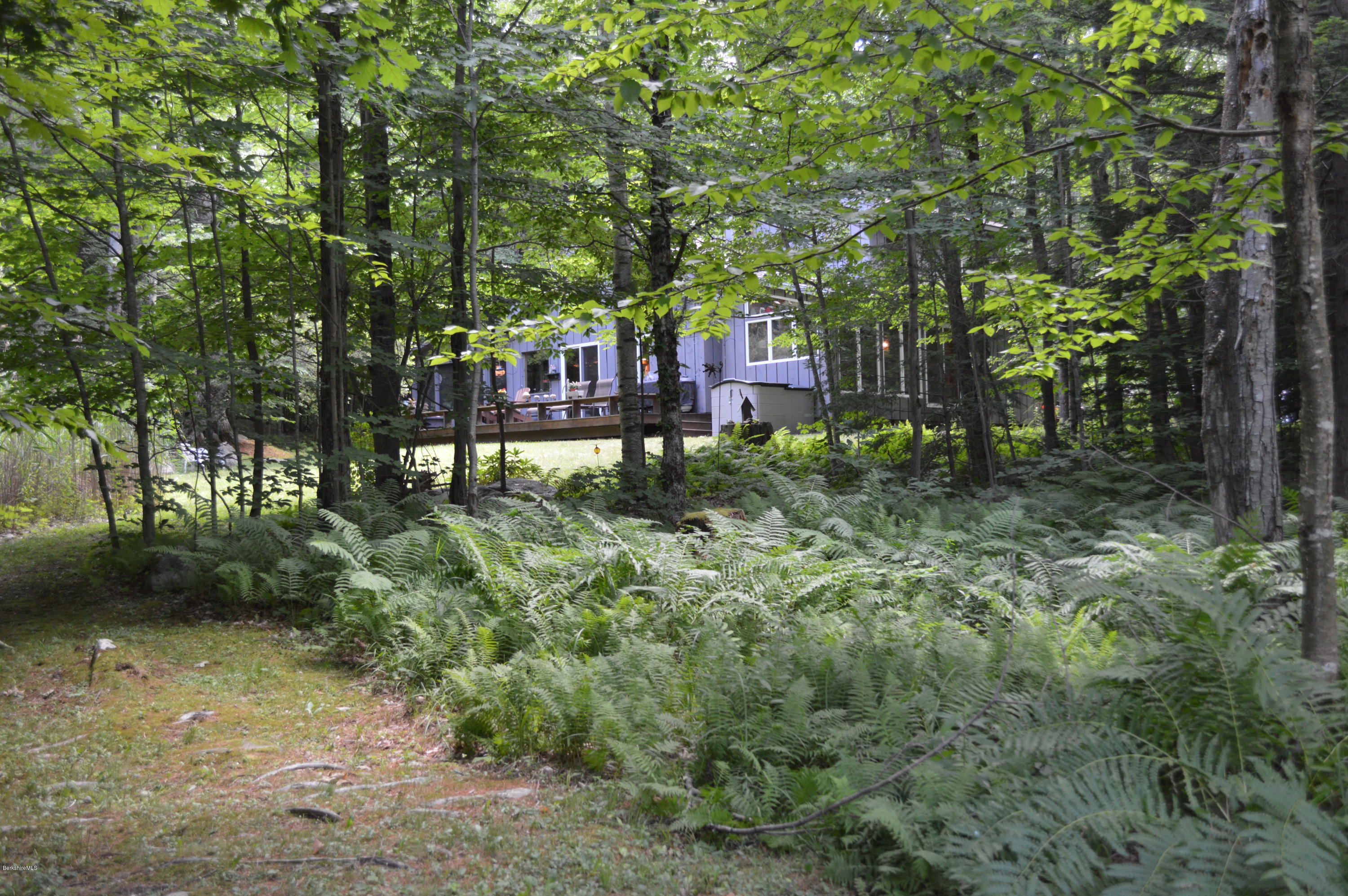 325 Bonny Rigg Hill Road Becket, MA 01223 - Photo 41 of 47 a backyard of a house with lots of green space