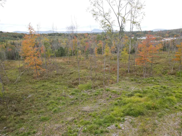 $65,000 | R11-033-5 Bailey Hill Road, Farmington, ME 04938