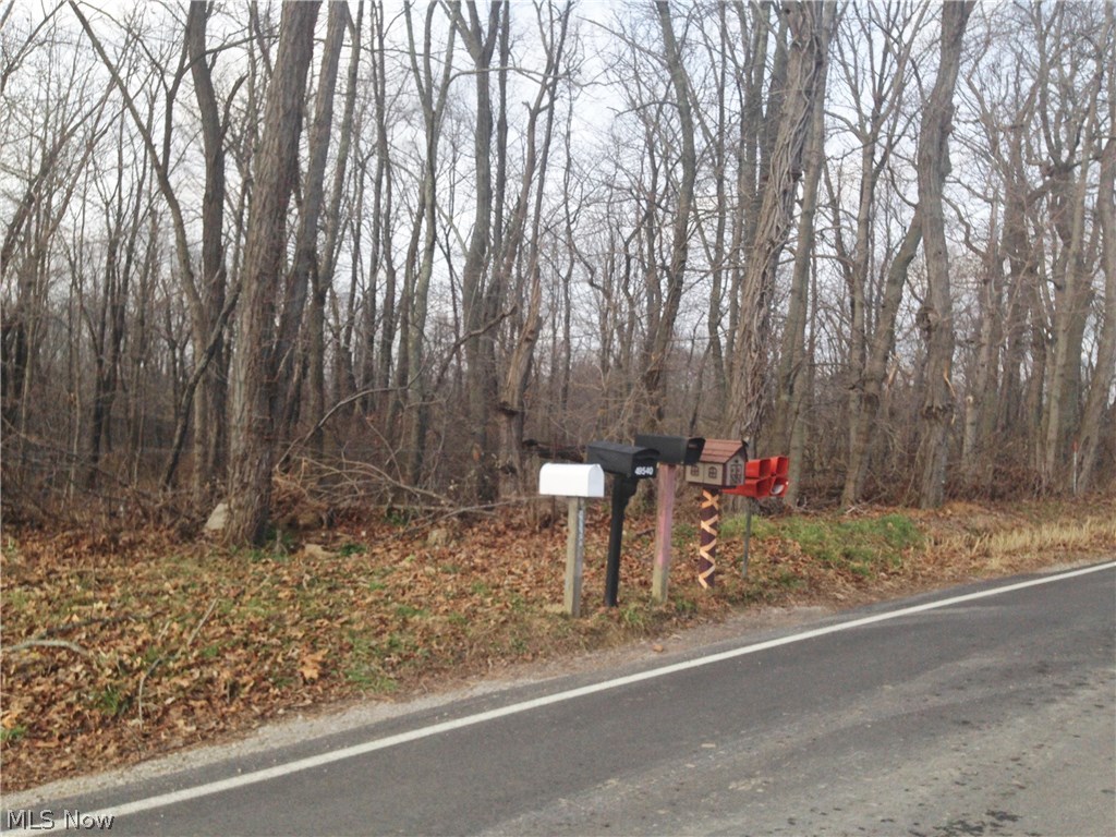 36 County Road Cadiz, OH 43907 - Photo 3 of 6 Gallery Image 3