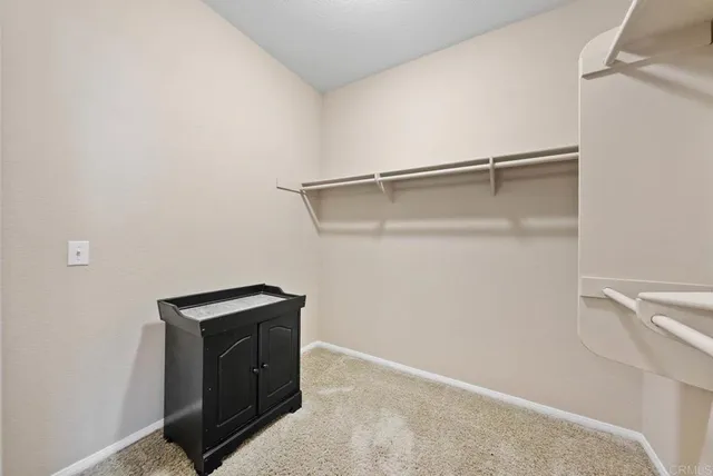 a view of storage and utility room with closet