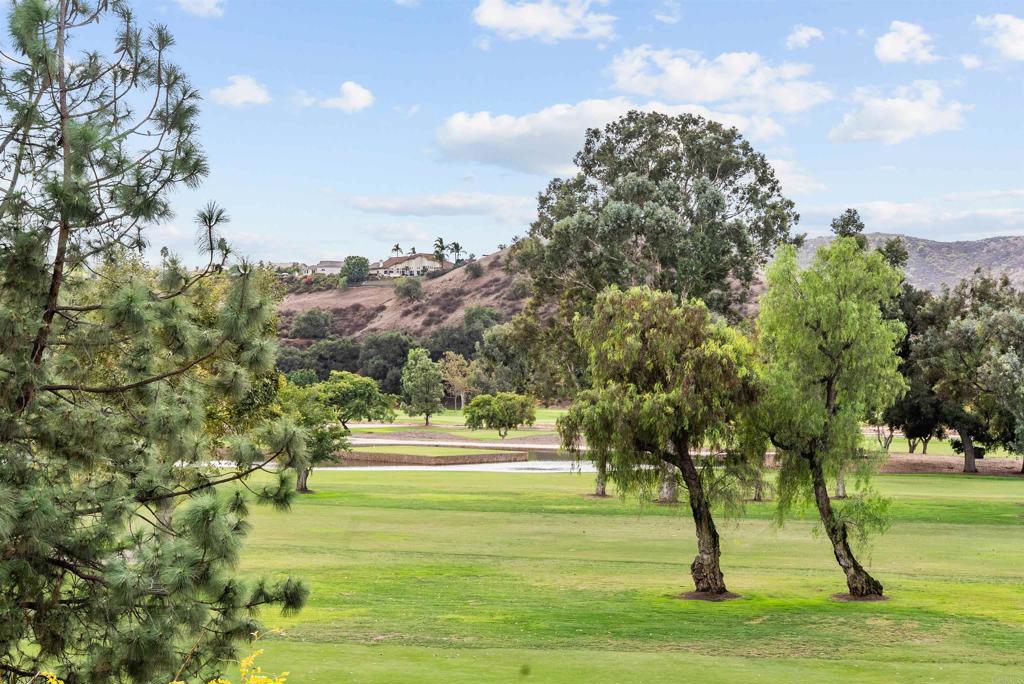 3223 Dehesa Road, Unit 32 El Cajon, CA 92019 - Photo 28 of 46 a view of yard with tree