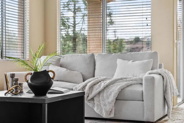 a living room with furniture and a potted plant