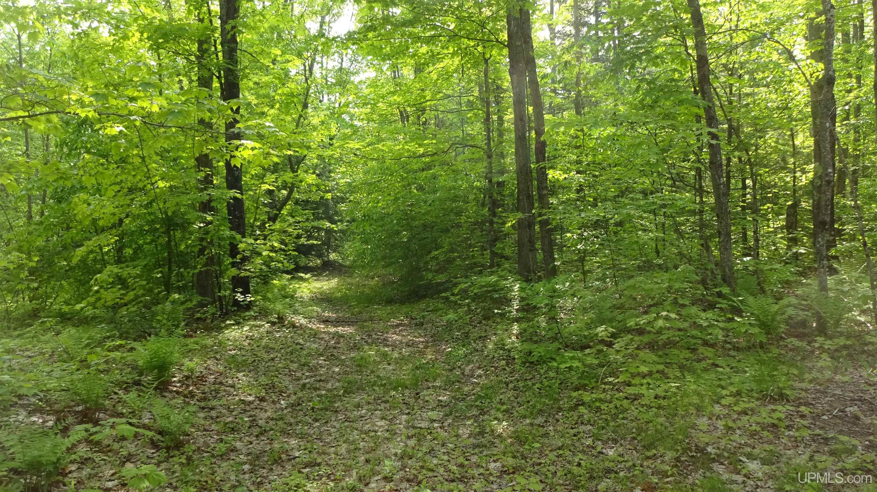 10031 South Ross Lake Road Shingleton, MI 49884 - Photo 51 of 55