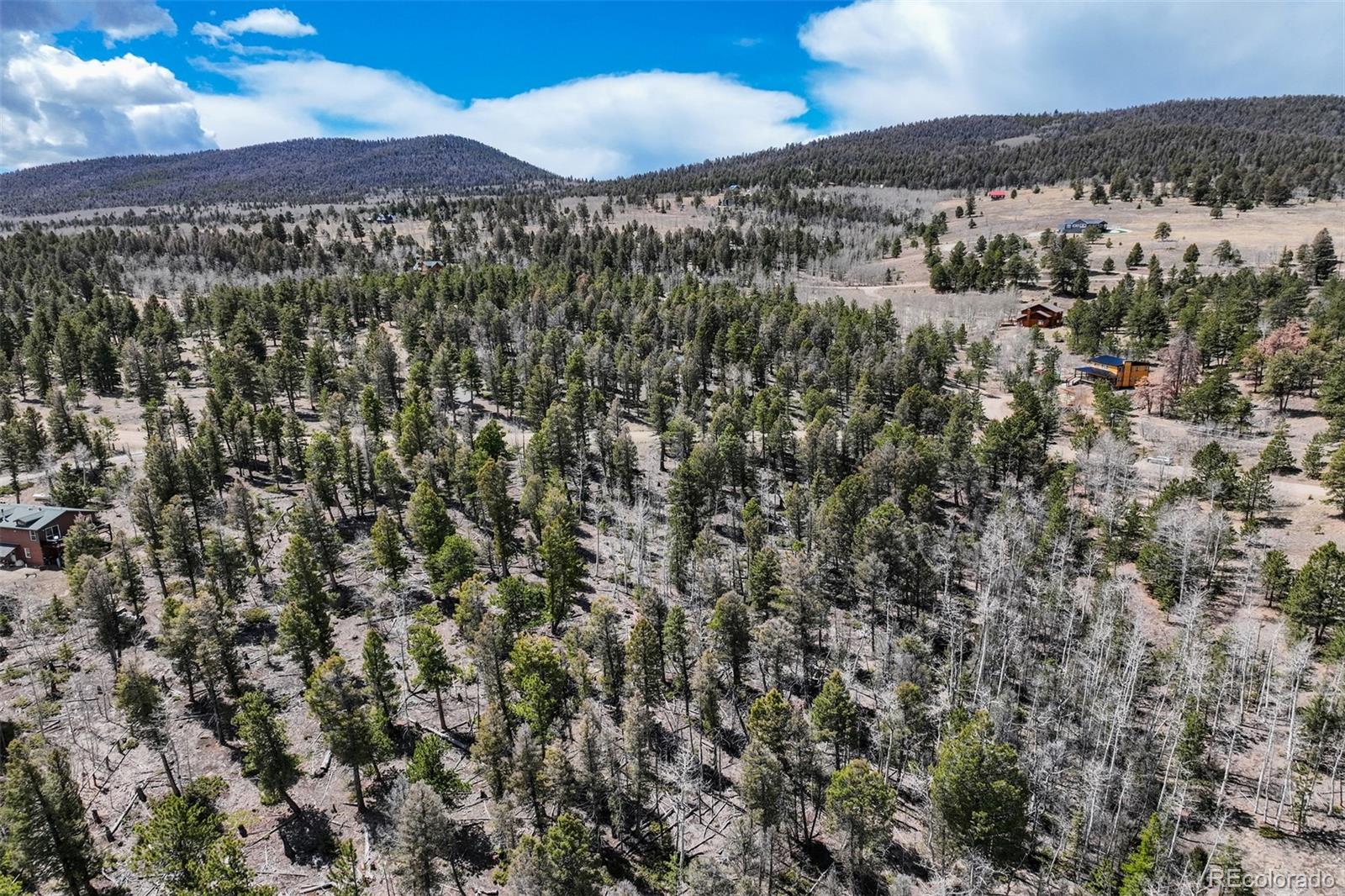 1430 Singletree Road Hartsel, CO 80449 - Photo 8 of 20 Gallery Image 8