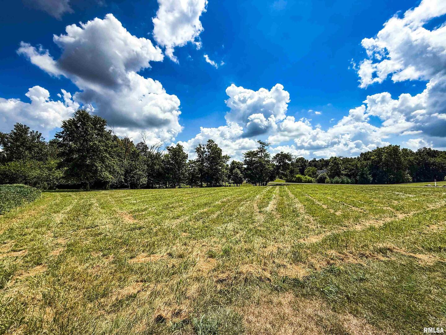 102 Davis Drive Watson, IL 62473 - Photo 5 of 11